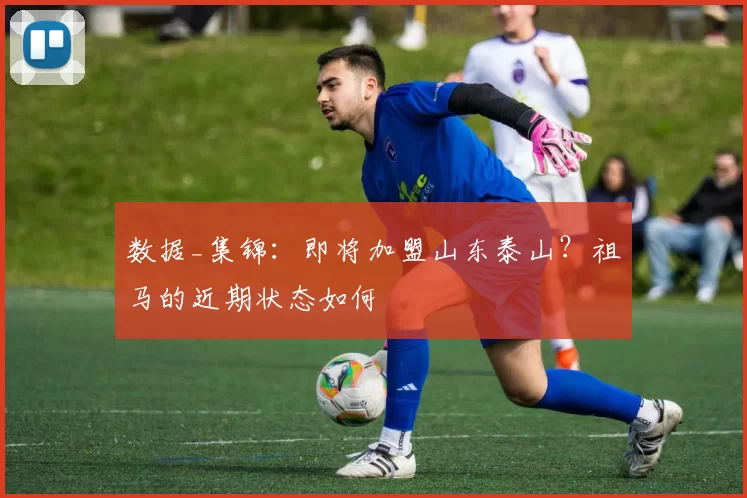 数据_集锦:即将加盟山东泰山?祖马的近期状态如何
