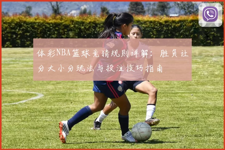 体彩NBA篮球竞猜规则详解：胜负让分大小分玩法与投注技巧指南